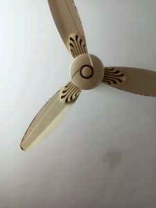 Cream Ceiling Fan