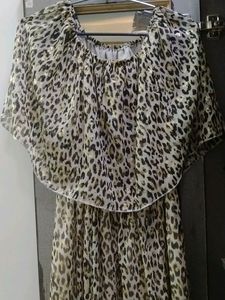 Beautiful Tiger Print Dress