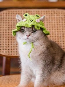 Cute Cat Hat