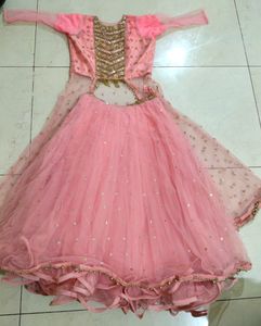 Heavy Net Traditional Indo Western Dress