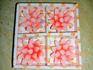 Floral Scented Diya Candles