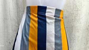 Striped Skirt
