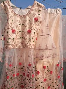 Elegant Embroidered Sarara Shuit