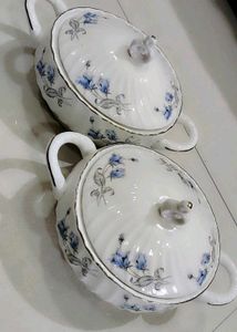 Royal Brand New Glass Dinner Ware