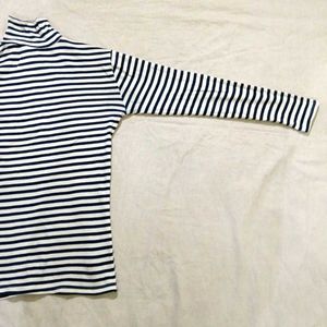 Striped Turtleneck ribbed Top