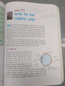 Science In Hindi
