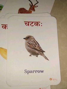 Vocabulary Flashcards