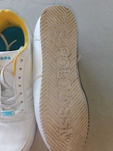Shoe