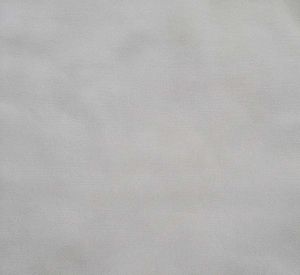 Classic Button-Down Shirt