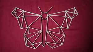 Butterfly Decor