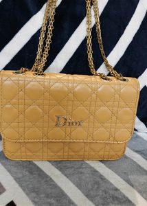 Dior Brand Purse