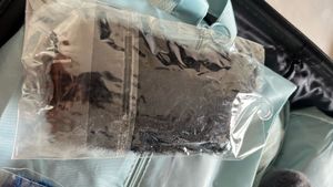 Fur Fuzzy socks for Winter