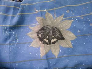 Used Saree
