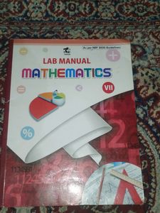 Class 7 Lab Manual Mathematics