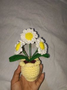 Daisy Crochet Flower Pot