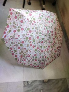 Cute Polka Dot Umbrella