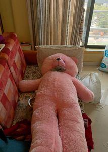 Cute Teddy Bear