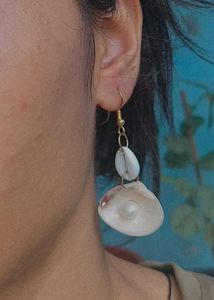 Shell Cowre Earrings