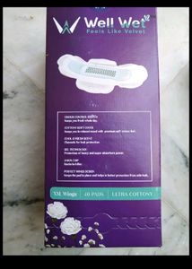 Wellwet Pads 2 Box