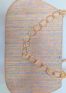 Elegant Multicolour Sparkling Clutches