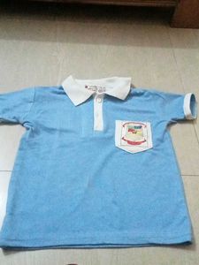 Combo Of School Tshirt