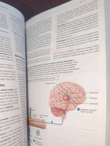 Anatomy and Physiology Textbook