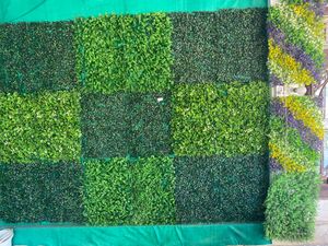 Heavy green mix wall grass