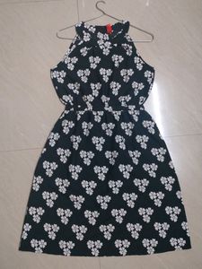 Black &amp; White Midi