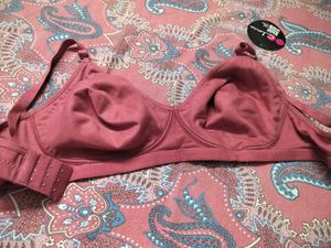 Cotton Daily Wear Bra Clovia