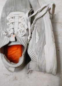 Men Shoes