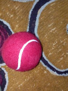 Ball Cricket Ball Tenis Ball
