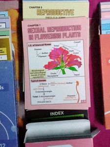 Unacademy Flashcards for NEET UG