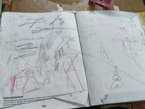 The World Around Us Book Class 3