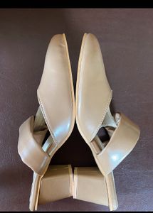 Aesthetic Pointed Block Heels