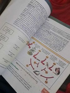 Ncert Biology 1st And 2nd Year Textbooks