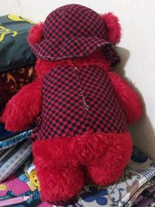 Teddy Bear 🧸