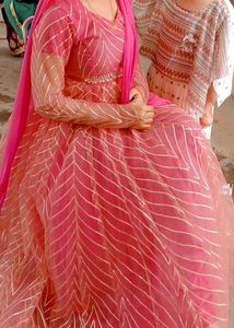 Elegant Ethnic Gown