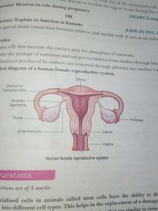 Xamidea Science Class 10 - 2024-25 Edition