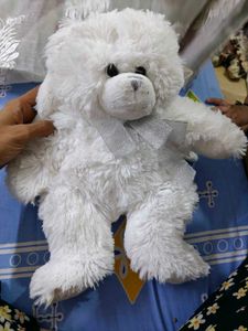 Angel Bear Brand New