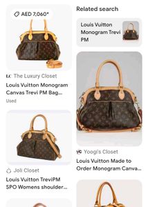 Louis Vuitton Handbag