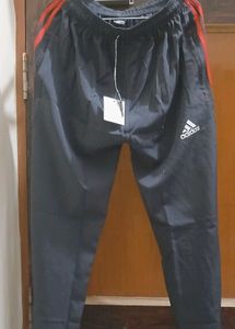 Rise and Run Sports Shorts