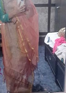 Organza Elegant Dupatta