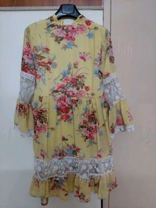 Chikenkari Maxi Top
