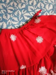 Pink Chikankari Work Skirt