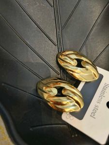 Gold Stainless Steel Earrings