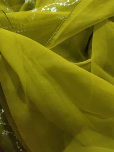 Green Sequence Saree