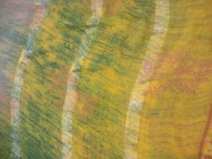 New Saree.