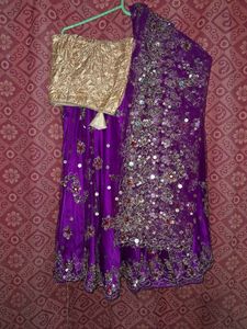 Today Price  Purple Lehgha