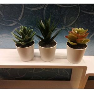 Artificial Plants Combo