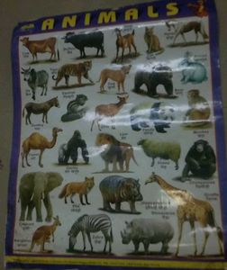 Combo Of 4 Hindi Varnmala Etc, Learning Chart